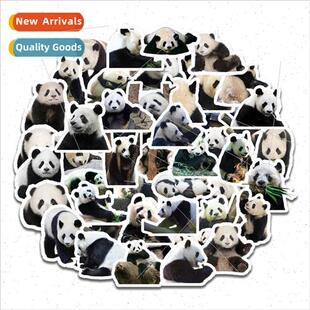 Cute Panda 50 Cultural Helmet Stickers Journal ggage Sticker