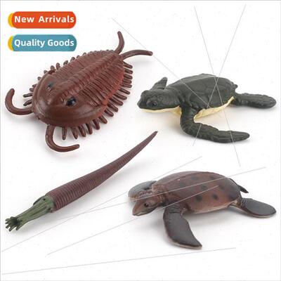 Trilobe room hornstone sea turtle model children science edu