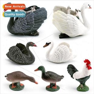 model children cognive Poultry duck chicken green gra animal