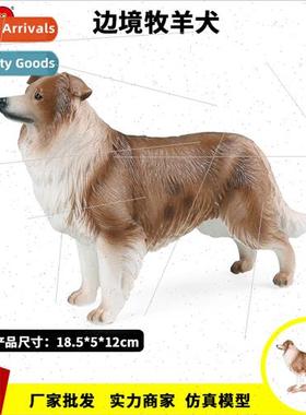 border collie golden retriever bulldog dog children teaching