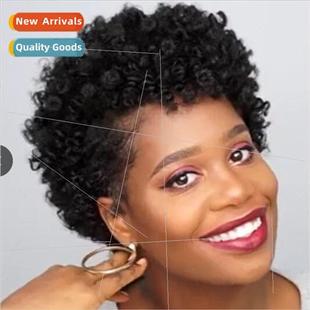 wig Europe short curly hair wig ladies wigs African small cu