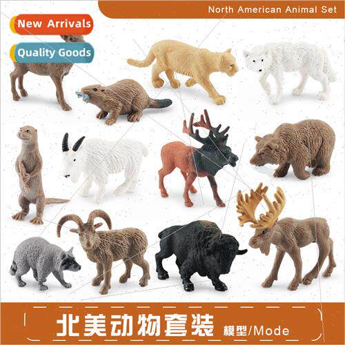 Wild North America animal model grizzly bear pronghorn antel
