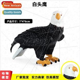 solid static bird animal model decorative ornaments bald eag