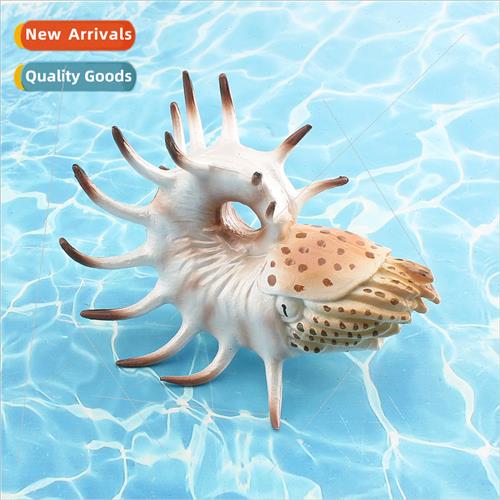 Model Ancient Undersea Creature Hollow Ridge Nautilus Decora