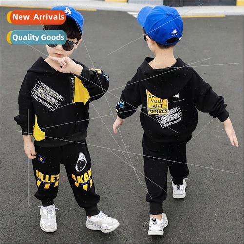 Autumn winter new children hooded zipper sweater set in smal