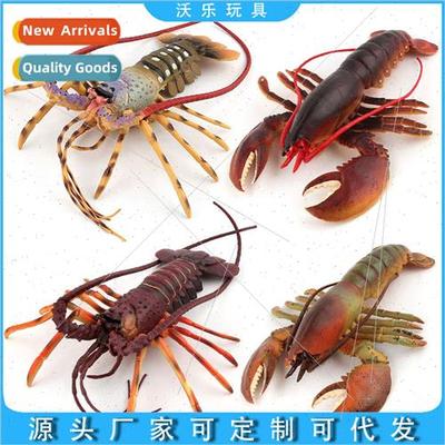 mulation solid australia boston lobster marine life 4 underw