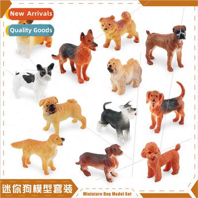 12 mini dog model world famous dog golden hair teddy corgi b