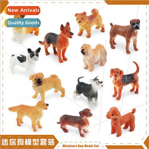12 mini dog model world famous dog golden hair teddy corgi b