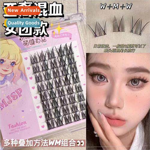 Wide Stem Asian Mixed Female Group Eyelashes Segmented Thick