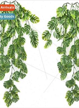 mulation plants turtle back wall hanging turtle back rattan