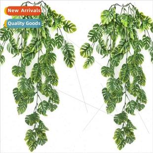 mulation plants turtle back wall hanging turtle back rattan