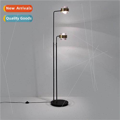 -modern light luxury double head floor lamp Scandinavian des