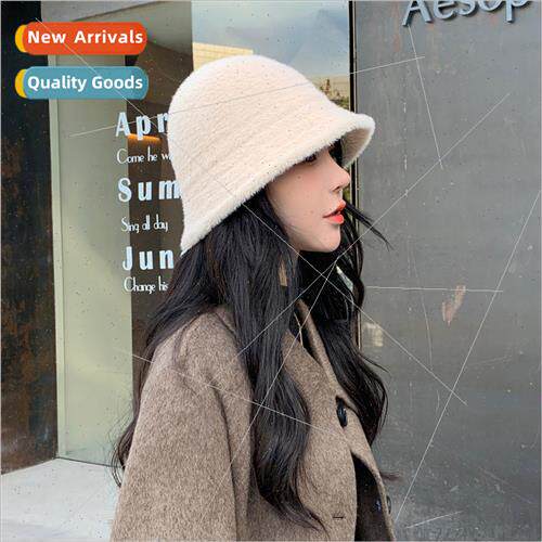 Autumn winter Korean beggar hat female Japan imation mink bu
