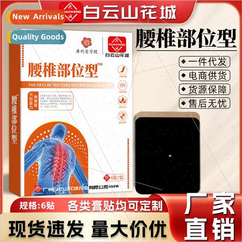 Baiyunshan lumbar spine parts type lumbar disc joint fever m