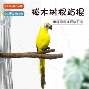 Claw Cage Sharpening Parrot Sharpenin Stick Bird