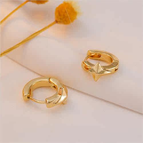 Personalized minimalist niche sense wild gold star earrings