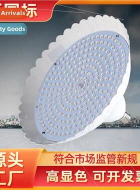 The new national  LED fresh light supermarket pork light hig