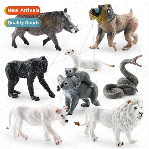 Wildlife model African lion black-crowned macaque ferret man