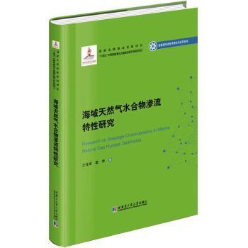 正版 海域天然气水合物渗流特研究  王佳琪 哈尔滨工业大学出版社 9787576704259 R库