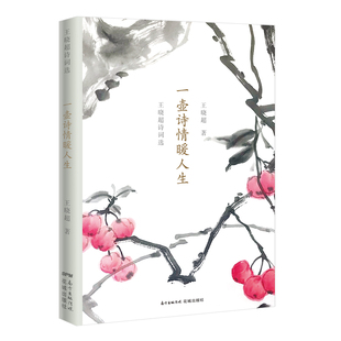 王晓超诗词选：一壶诗情暖人生正版 M库王晓超花城9787536087545