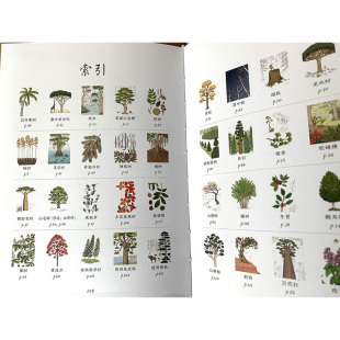 利兹·马文 Y库 事 9787558913174 社 少年儿童出版 英 人生启迪课 让你幸福 那些大树教我 正版