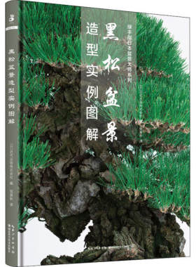 正版 黑松盆景造型实例图解 近代出版株式会社 湖北科学技术出版社 9787570607235 Y库