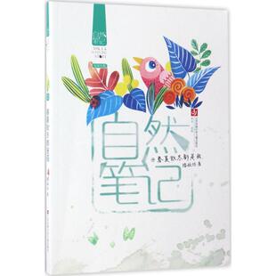 自然笔记?春夏秋冬都是画 9787558403101 滕毓旭 社 Y库 江苏凤凰少年儿童出版 正版