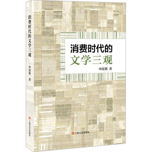 申霞艳 文学三观 上海文艺出版 社 Y库 正版 9787532187430 消费时代