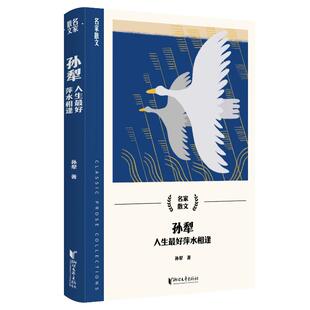 孙犁 名家散文系列 浙江文艺出版 社 Y库 正版 9787533975296 孙犁：人生萍水相逢