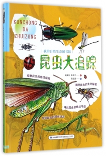 9787533552602 昆蟲大追蹤 精 趙榮臺 繪畫 陳景亭 我 正版 Y庫 黃昆謀 福建科技 自然生態(tài)圖書館