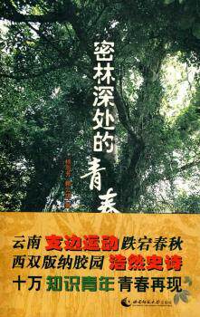 正版 密林深处的青春 杨恩芳，赖云琪著 西南师范大学出版社   9787562148029 R库
