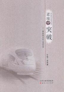 正版 逆境中突破:媒体眼中的山西财政 高向新主编 山西人民出版社 9787203093886 R库