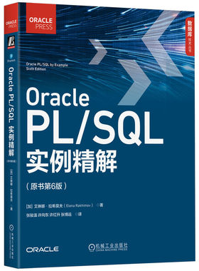 正版 数据库技术丛书：OraclePL/SL实例精解 [美]本杰明·罗森维格，[加]艾琳娜·拉希莫夫 机械工业出版社 9787111765349 Y库