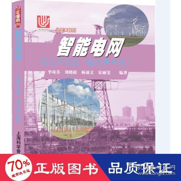 正版 智能电网——无处不在的“电力界天网” 李琦芬 上海科学普及出版社 9787542775863 Y库