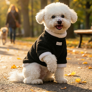 新款黑白熊猫云朵双面毛绒宠物冬保暖棉衣比熊居家小狗狗猫咪衣服