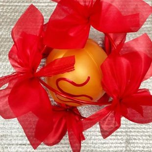 舞狮球绣球舞龙灯舞狮子道具成人狮球舞狮服装南狮北狮游戏道具