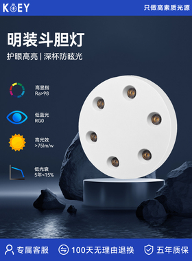 Koey Keyi护眼全光谱大胆灯表面安装超薄防眩光格栅防眩光客厅无