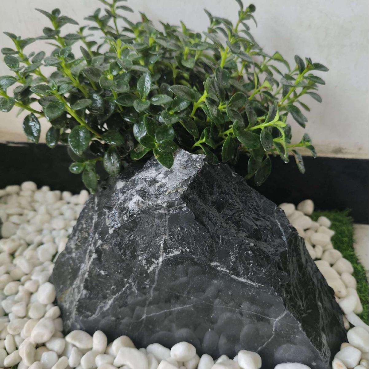 黑山石 雪浪石切片景观石大小型组合泰山石假山石别墅庭院室内外