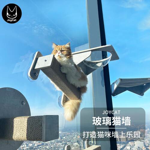 JoyCat吸盘猫爬架木质玻璃墙壁猫爪免打孔透明亚克力吊床抓板磨爪
