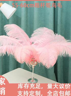 厂家直销粗杆55-60cm鸵鸟毛 羽毛舞台道具婚庆装饰白色鸵鸟毛