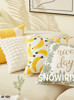 北欧ins抱枕套客厅沙发绣花靠垫房间靠枕可爱香蕉图车载床头腰靠