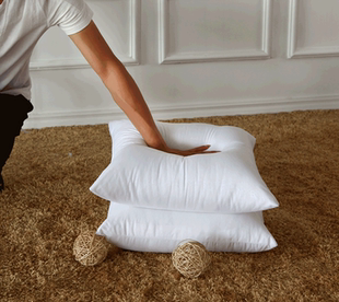 【Snowiris】抱枕芯 35 45 50靠枕沙发靠垫内胆正方形长方形靠背