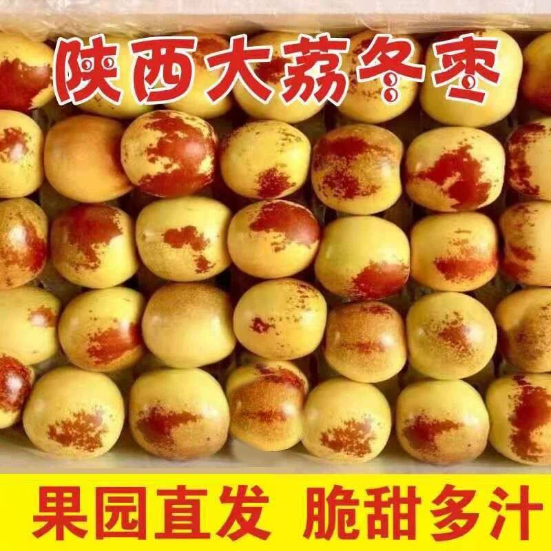 正宗产地直发陕西现摘大荔冬枣新鲜水果孕妇脆甜当季大枣枣子特大