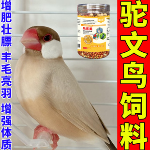驼文鸟雀鸟雏鸟专用饲料鸟粮天然优质精品增肥壮膘美毛亮毛混合粮