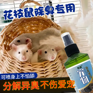 花枝鼠除臭喷雾家用宠物去异味臭味分解喷雾垫料粪便尿味除臭喷剂