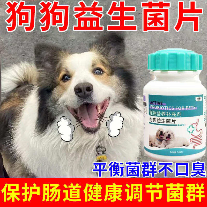 边牧益生菌狗狗专用调理肠胃口臭呕吐拉稀消化不良保健品幼犬可用