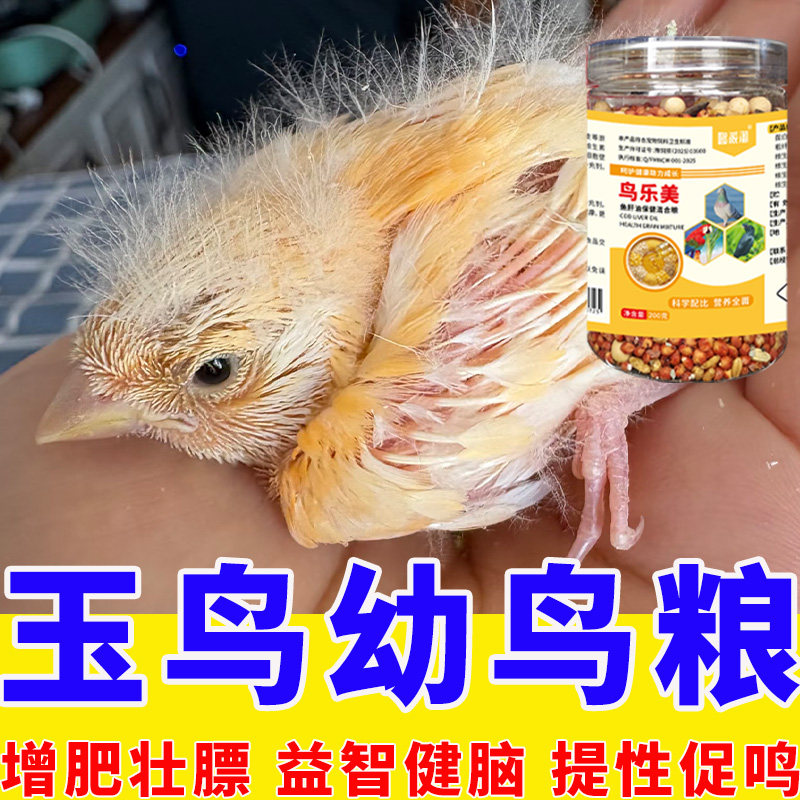 辣椒红白红眼玉鸟金丝雀幼鸟雏鸟手喂鸟食饲料混合鸟粮消化好吸收