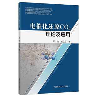 9787564651817 正版 电催化还原CO2还原理论及应用 蒋浩 现货 王立章著