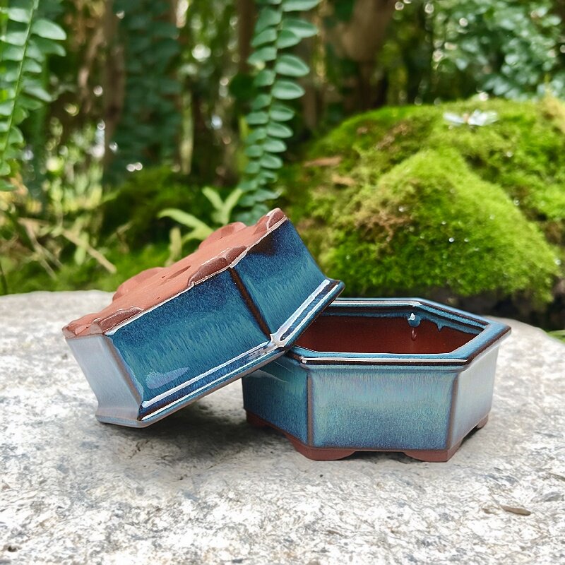 宜兴紫砂花盆六方手工盆小号多肉文竹榆树发财树微型陶瓷盆景盆