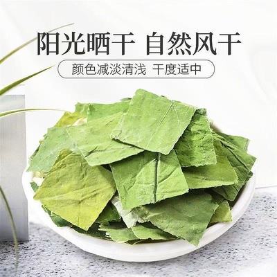 正品微山湖荷叶片中药材500g